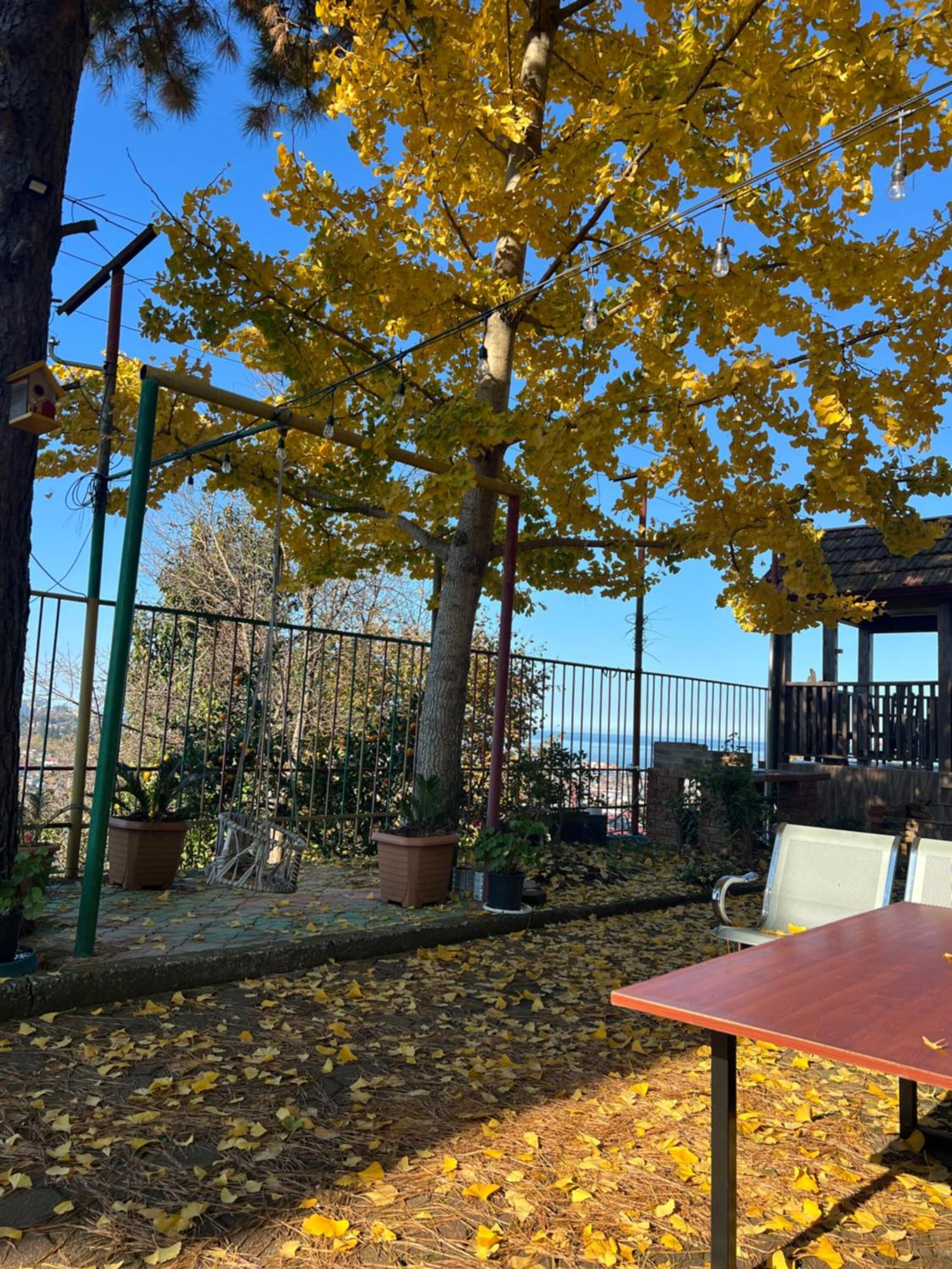 Gt House Batumi Otel Dış mekan fotoğraf