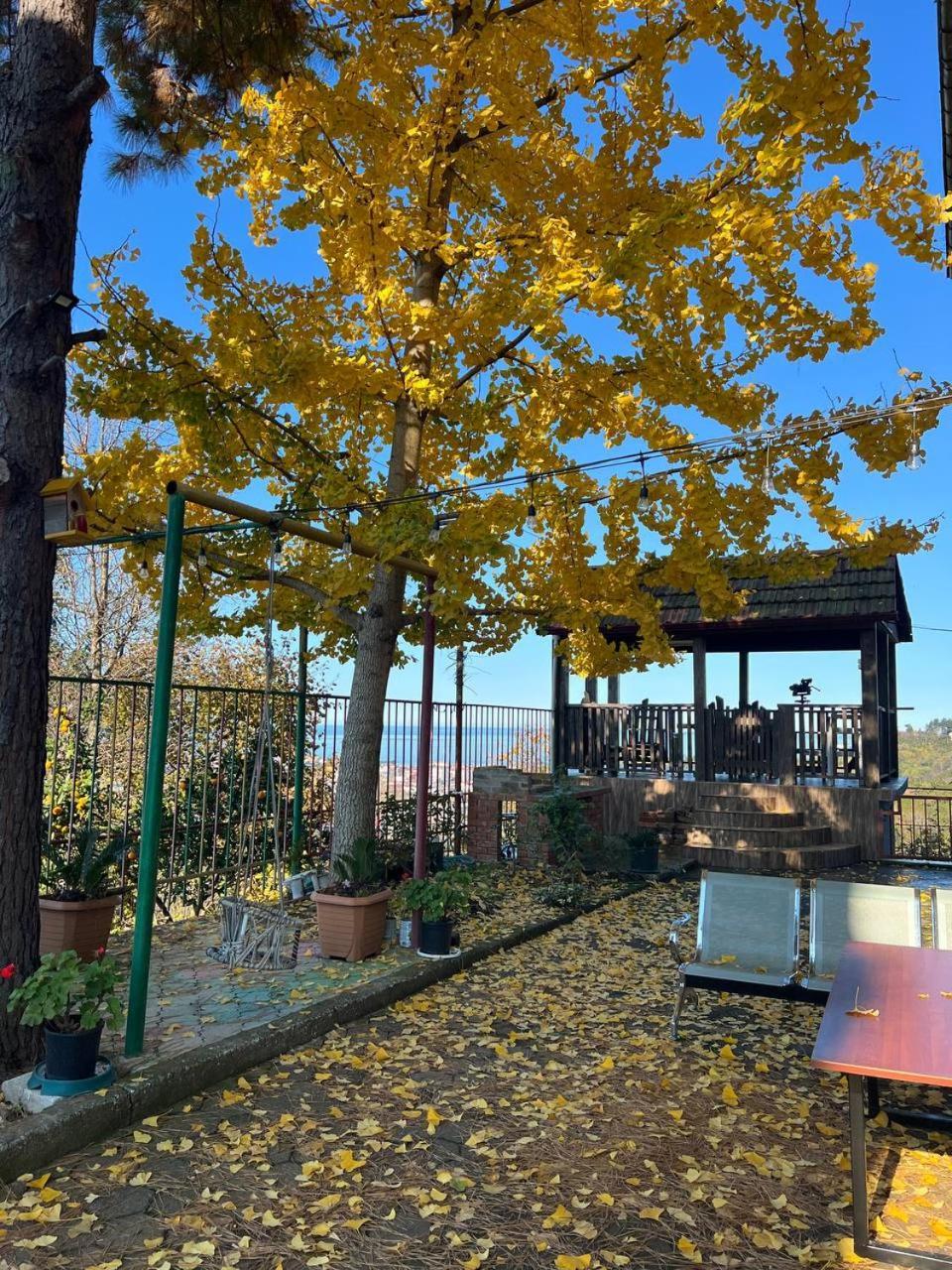 Gt House Batumi Otel Dış mekan fotoğraf