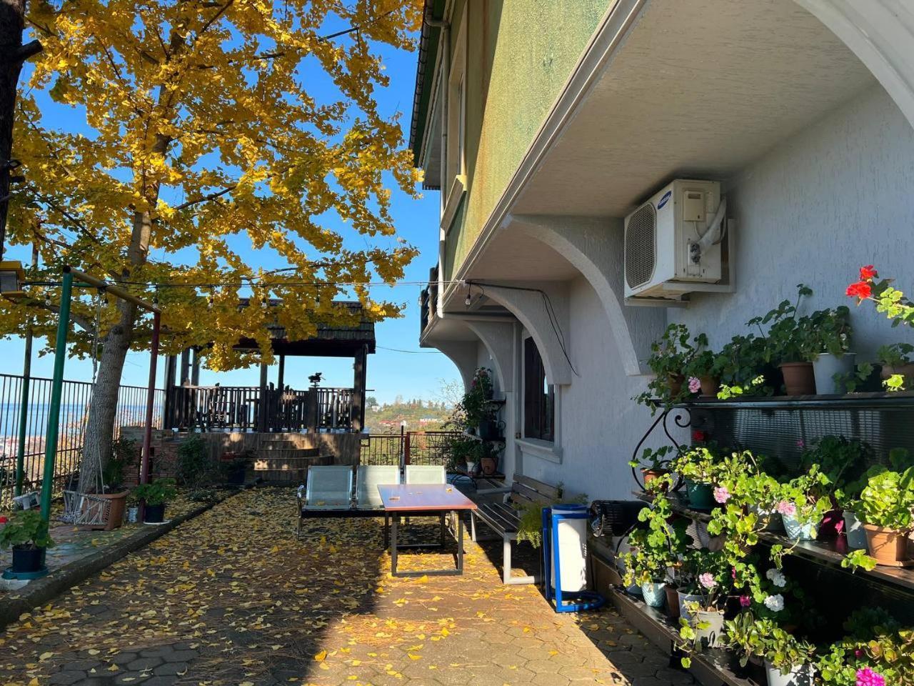 Gt House Batumi Otel Dış mekan fotoğraf