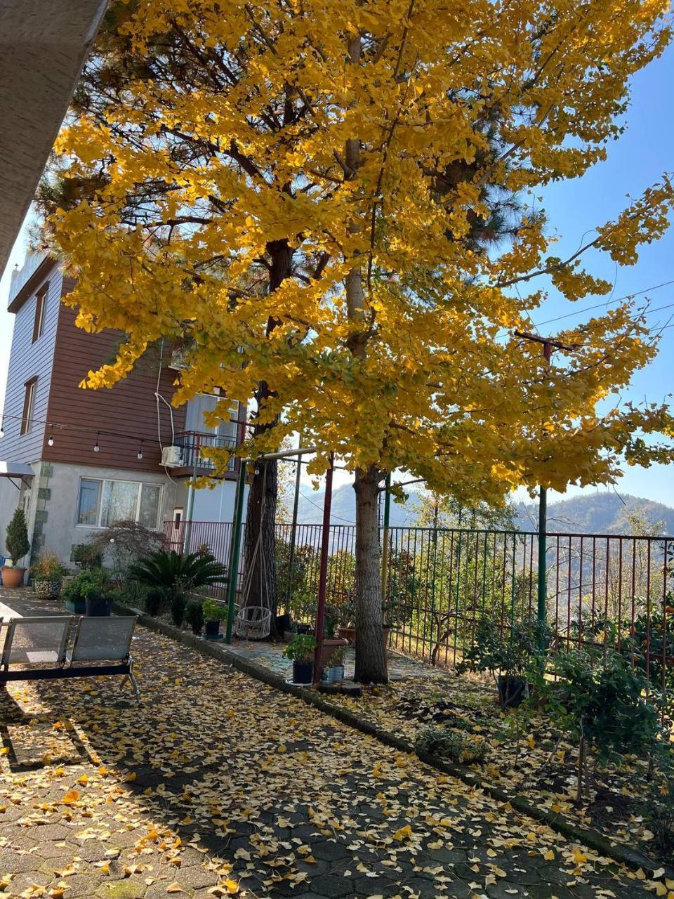 Gt House Batumi Otel Dış mekan fotoğraf